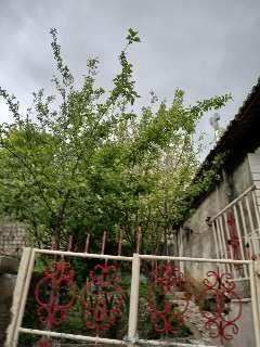 خانه ویلایی با باغچه