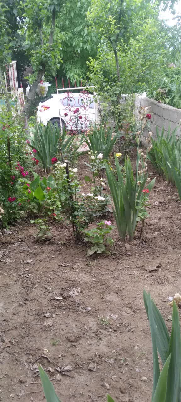 خانه ویلایی با باغچه